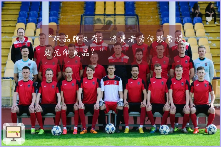 “双品牌共存：消费者为何频繁误购无印良品？”